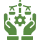 section image